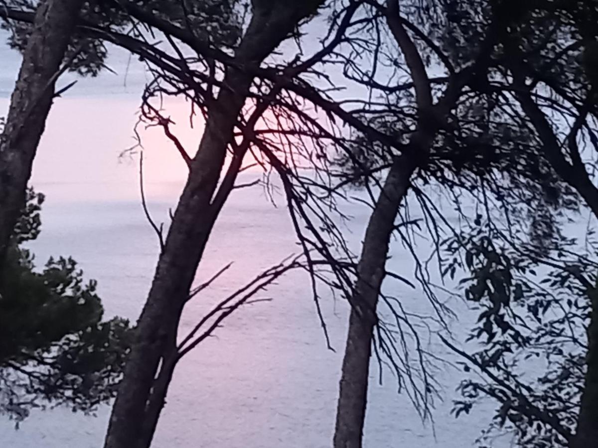 Chambre D Hote Les Heures Claires Istres Exteriör bild